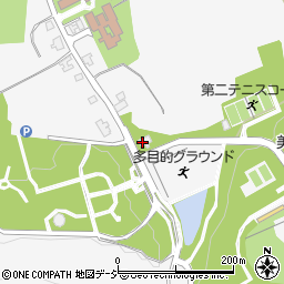 糸魚川市　美山公園スポーツ施設管理棟周辺の地図