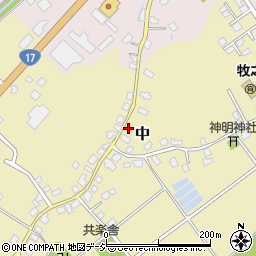 新潟県南魚沼市中607周辺の地図