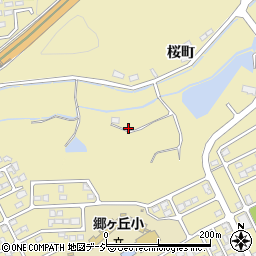 福島県いわき市平中山桜町83周辺の地図