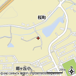 福島県いわき市平中山桜町45周辺の地図
