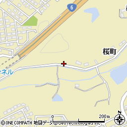福島県いわき市平中山桜町142周辺の地図
