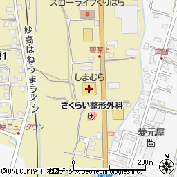 ファッションセンターしまむら新井店周辺の地図