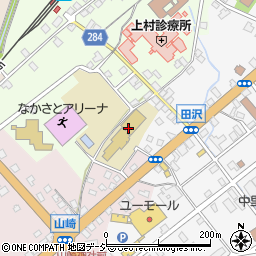 市立田沢小学校周辺の地図