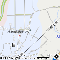 新潟県十日町市桂戊-19周辺の地図