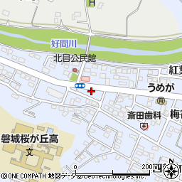 相撲茶屋吾妻国周辺の地図