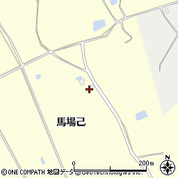 新潟県十日町市馬場己周辺の地図