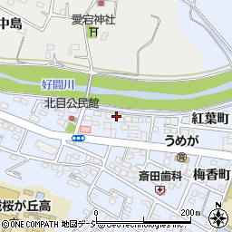 福島県いわき市平紅葉町38周辺の地図