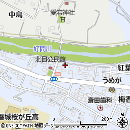 福島県いわき市平紅葉町38-5周辺の地図