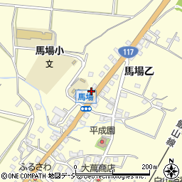新潟県十日町市馬場乙538周辺の地図