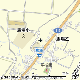 新潟県十日町市馬場乙596周辺の地図