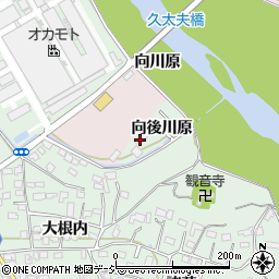 福島県いわき市平赤井向後川原周辺の地図