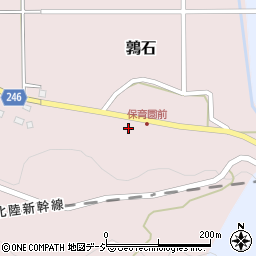 新潟県糸魚川市鶉石517周辺の地図
