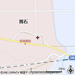 新潟県糸魚川市鶉石548周辺の地図