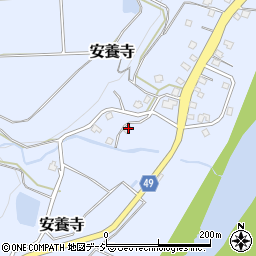 新潟県十日町市安養寺206周辺の地図