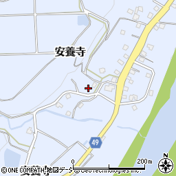 新潟県十日町市安養寺237周辺の地図