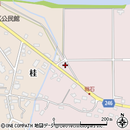 新潟県糸魚川市鶉石317周辺の地図