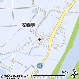 新潟県十日町市安養寺239周辺の地図