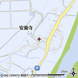 新潟県十日町市安養寺246周辺の地図