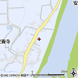 新潟県十日町市安養寺49周辺の地図