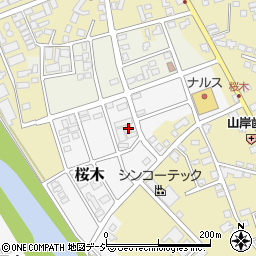 新潟県糸魚川市桜木45周辺の地図