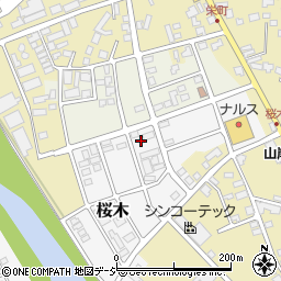 新潟県糸魚川市桜木49周辺の地図