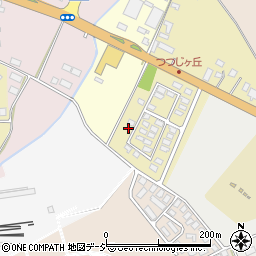 福島県白河市丸小山1-41周辺の地図