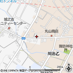 新潟県十日町市北新田604周辺の地図