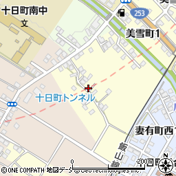 新潟県十日町市川治555周辺の地図