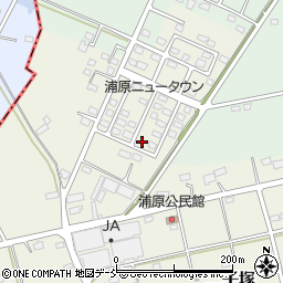 福島県西白河郡中島村二子塚入江45-48周辺の地図