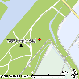 新潟県十日町市寅甲周辺の地図