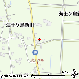 新潟県南魚沼市海士ケ島新田249周辺の地図