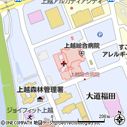 新潟県上越市大道福田周辺の地図