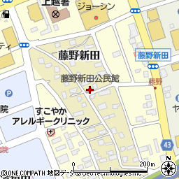 藤野新田公民館周辺の地図
