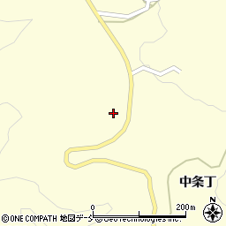 新潟県十日町市中条丁2897周辺の地図