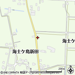 新潟県南魚沼市海士ケ島新田316周辺の地図