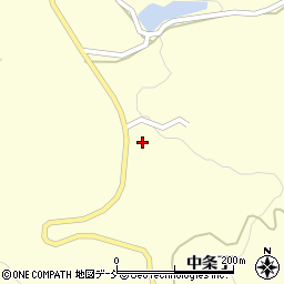 新潟県十日町市中条丁2952周辺の地図