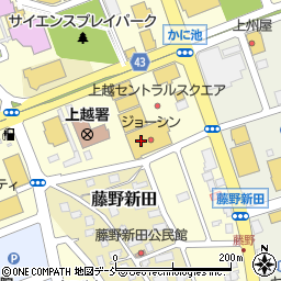 新潟県上越市藤野新田周辺の地図