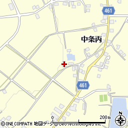 新潟県十日町市中条丙1225周辺の地図