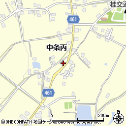 新潟県十日町市中条丙1235周辺の地図