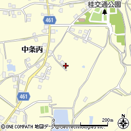 新潟県十日町市中条丙1399-2周辺の地図