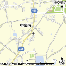 新潟県十日町市中条丙1233周辺の地図