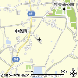 新潟県十日町市中条丙1399周辺の地図