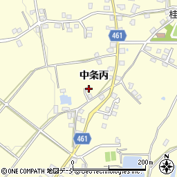 新潟県十日町市中条丙1227周辺の地図
