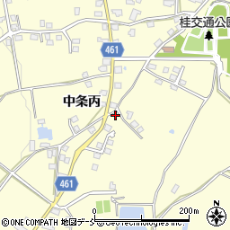 新潟県十日町市中条丙1232周辺の地図
