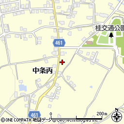 新潟県十日町市中条丙492周辺の地図