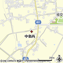 新潟県十日町市中条丙1206-1周辺の地図