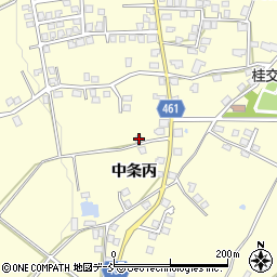 新潟県十日町市中条丙1206周辺の地図