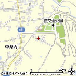 新潟県十日町市中条丙473周辺の地図