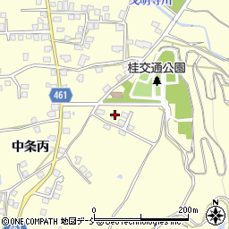新潟県十日町市中条丙473-3周辺の地図