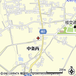 新潟県十日町市中条丙1202周辺の地図